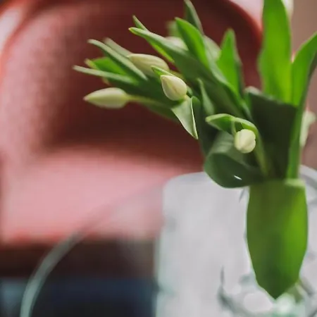 Grand Hotel Vysne Ruzbachy